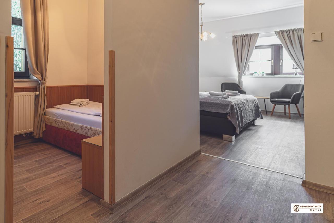 Hotel Nemojansky Mlyn Nemojany Kültér fotó