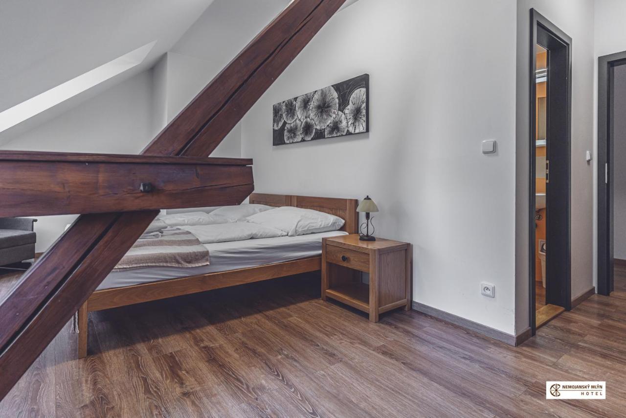Hotel Nemojansky Mlyn Nemojany Kültér fotó