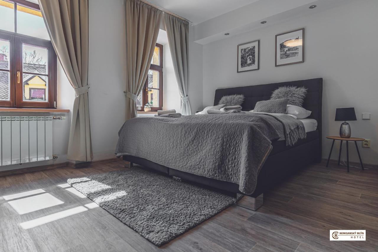 Hotel Nemojansky Mlyn Nemojany Kültér fotó