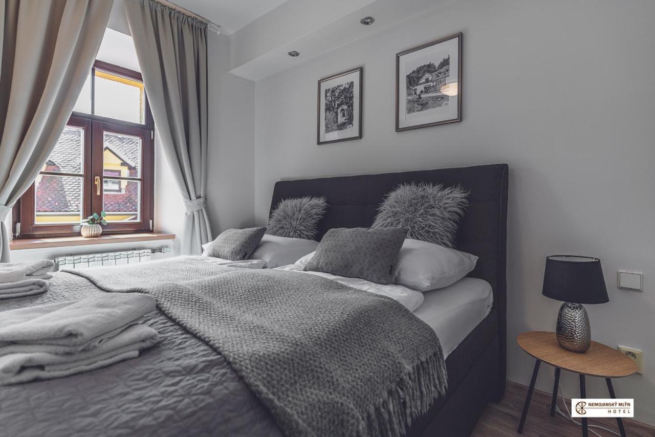 Hotel Nemojansky Mlyn Nemojany Kültér fotó