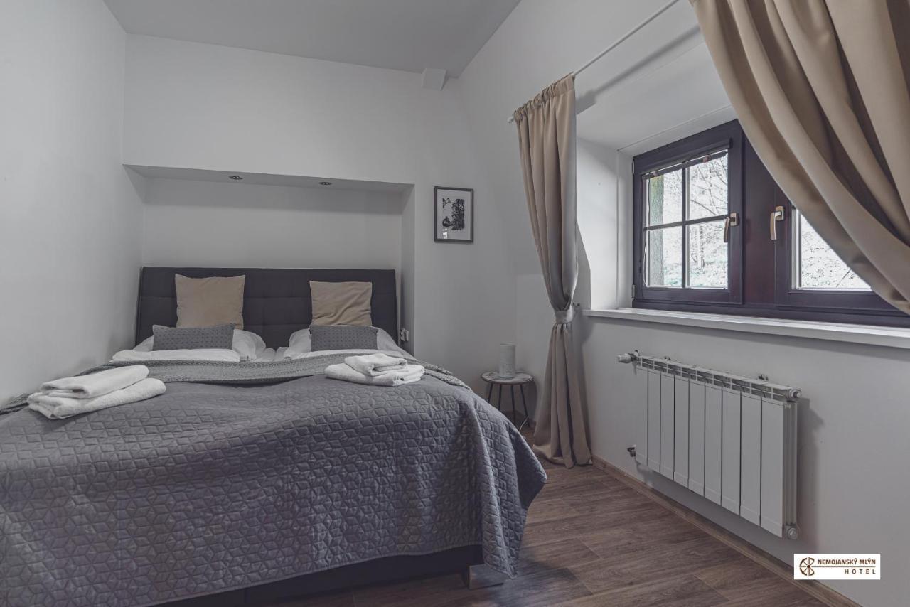 Hotel Nemojansky Mlyn Nemojany Kültér fotó