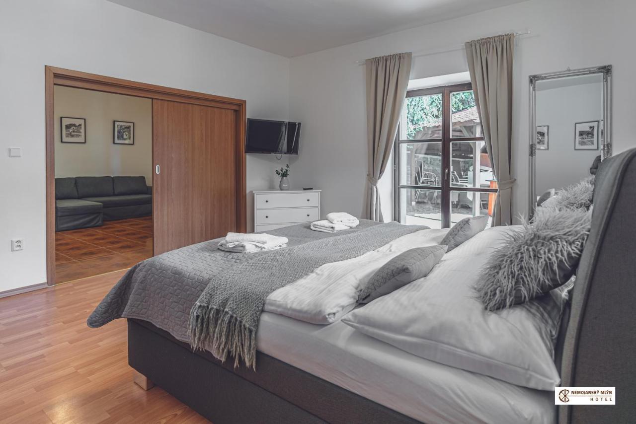 Hotel Nemojansky Mlyn Nemojany Kültér fotó