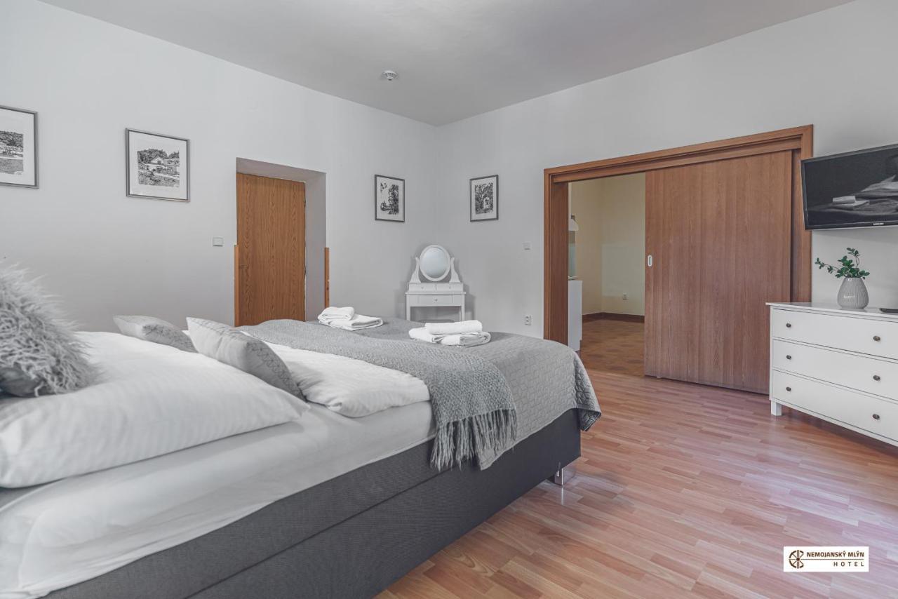 Hotel Nemojansky Mlyn Nemojany Kültér fotó